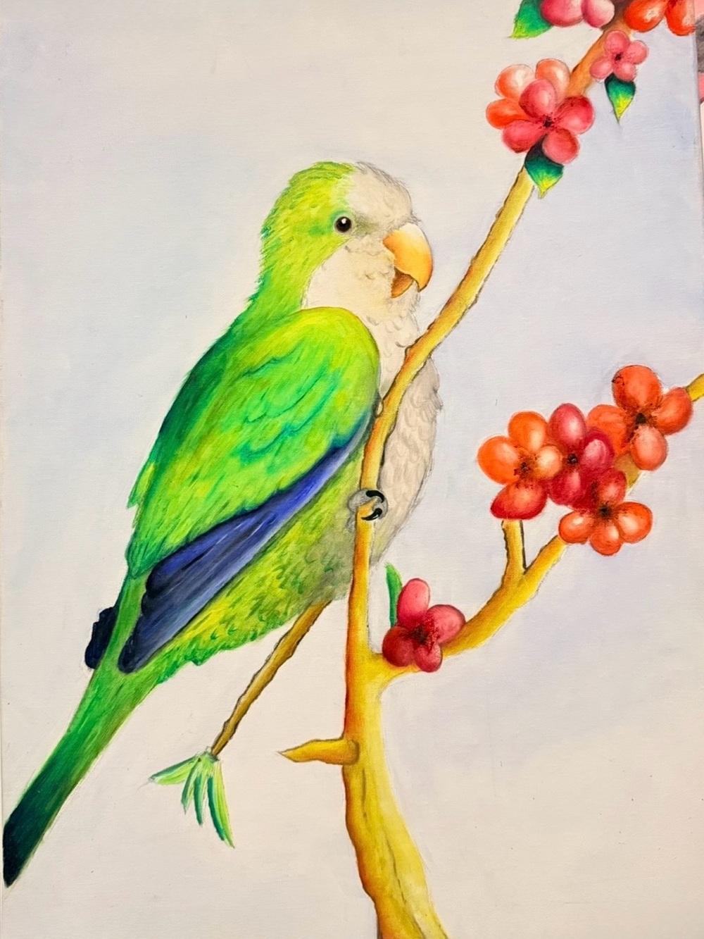 Green Parrot Bird Art  - Pets Bird Decor